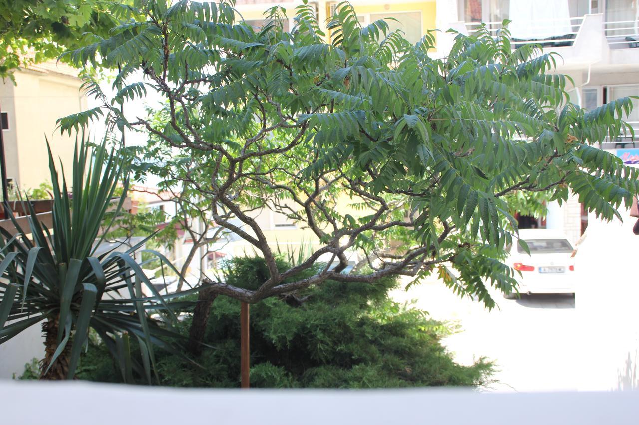 Yankov'S House Hotel โซโซโปล ภายนอก รูปภาพ